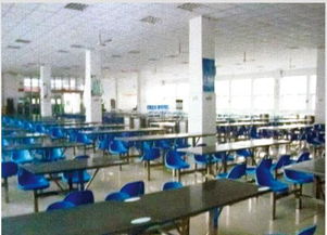 河南微笑餐飲管理公司閃耀中國(guó)食品春晚，榮膺優(yōu)秀品牌彰顯卓越管理